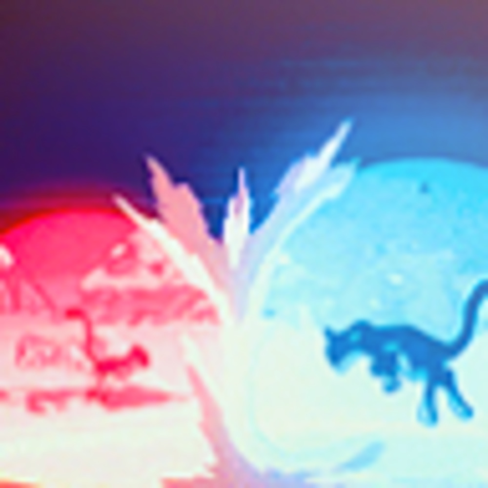 Meet your Posher, Star